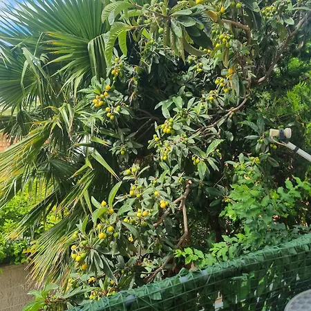 Casa Del Nespolo * Montesilvano Marina