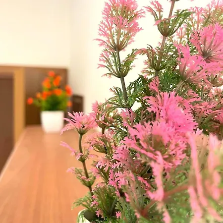 Casa Del Nespolo Montesilvano Marina