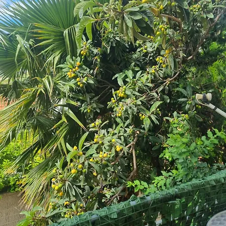 Appartamento Casa Del Nespolo *