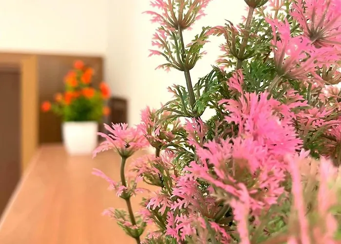 Casa Del Nespolo Montesilvano Marina