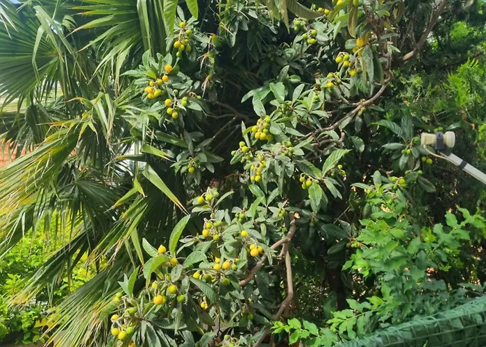 Lägenhet Casa Del Nespolo *